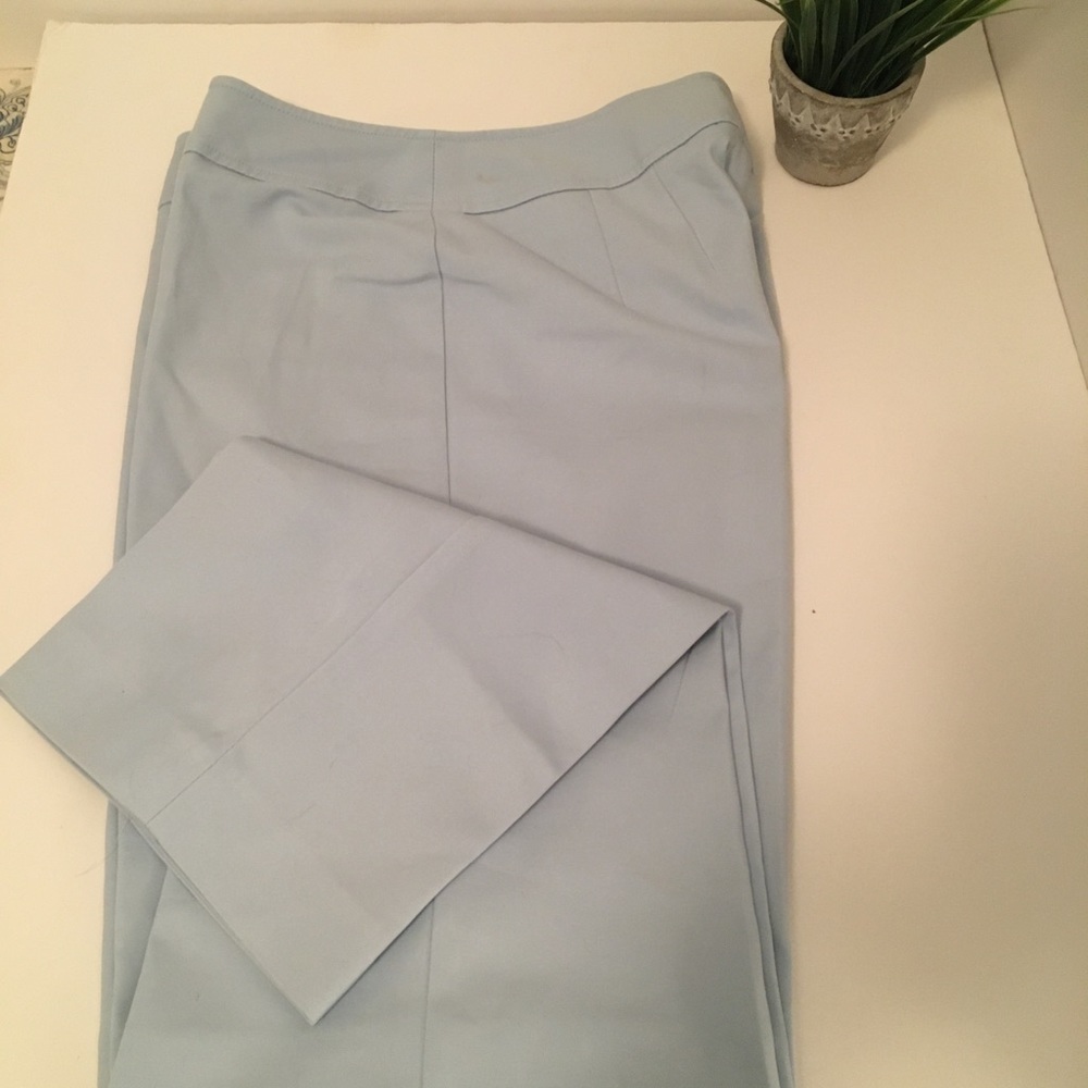 Talbots Pale Blue Pants